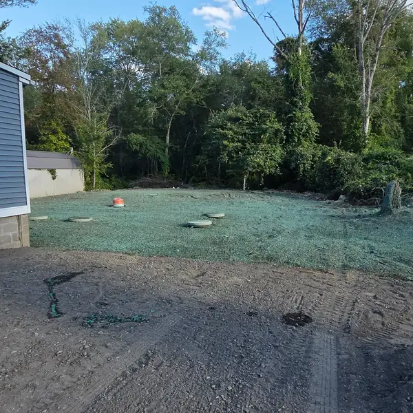 Hydroseeded lawn on a cleared lot